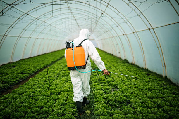 Best Affordable Pest Control Services  in Roan Mountain, TN
