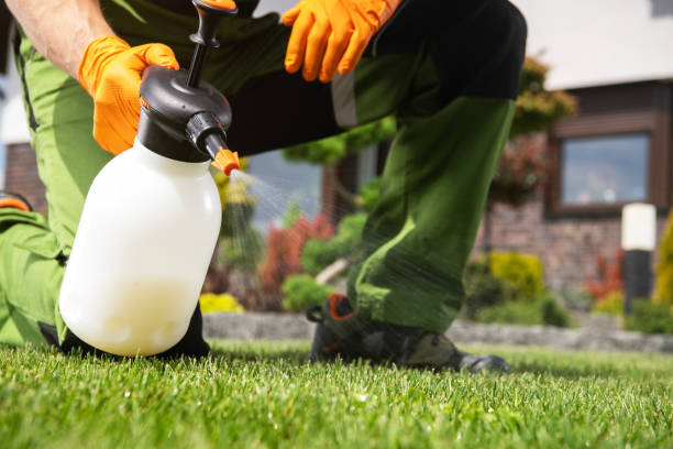 Best Exterminator Services  in Roan Mountain, TN