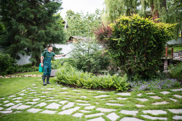 Best Mosquito Control Services  in Roan Mountain, TN