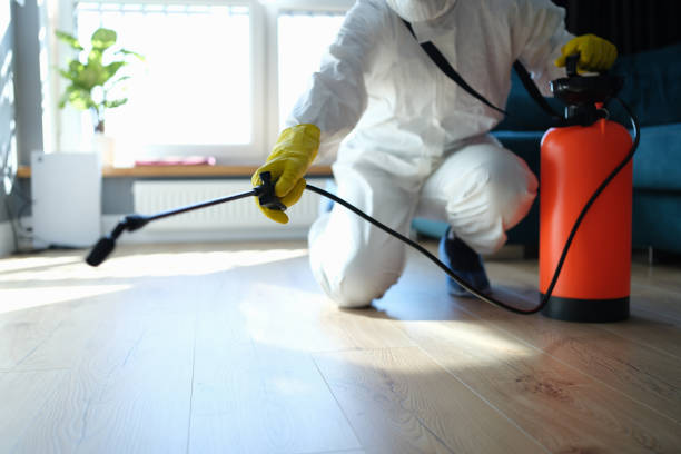 Pest Prevention Services in Roan Mountain, TN