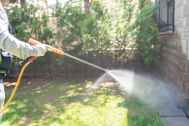 Best Best Pest Control Companies  in Roan Mountain, TN