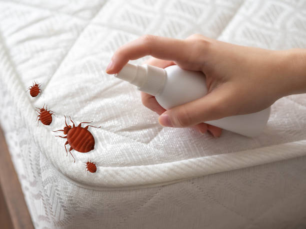 Best Residential Pest Control  in Roan Mountain, TN