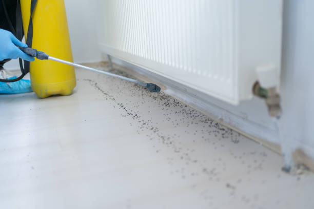 Best Pest Inspection Near Me  in Roan Mountain, TN